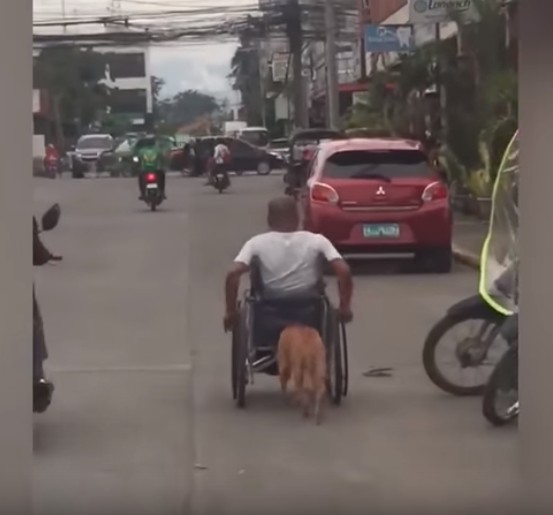 【出典：YouTube】飼い主が乗った車いすを押すフィリピンの忠犬