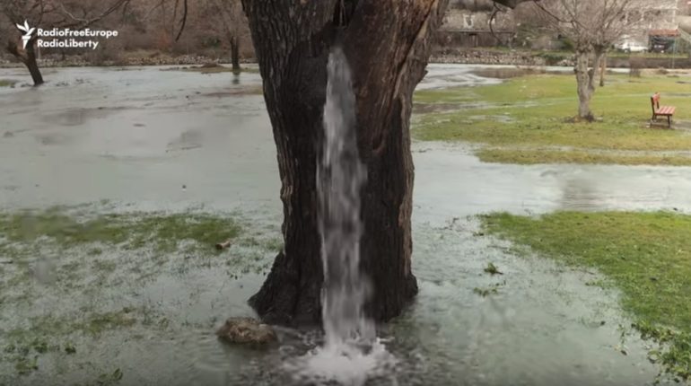 【出典：YouTube】水が溢れる木