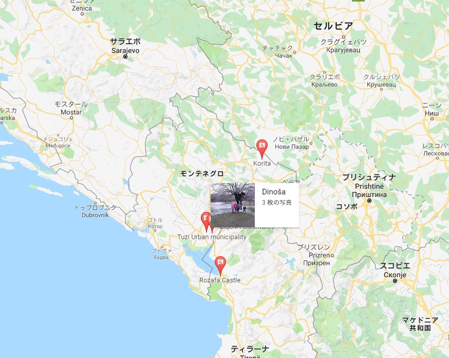 【出典:Googleマップ】デノサ村の水が溢れる木